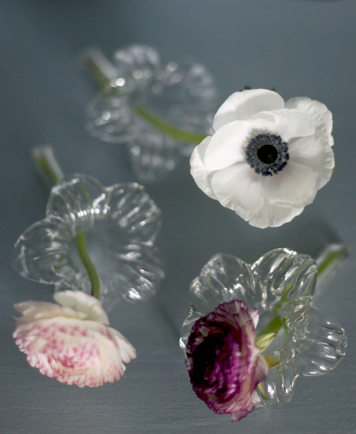 Triss i snittblomhållare glas