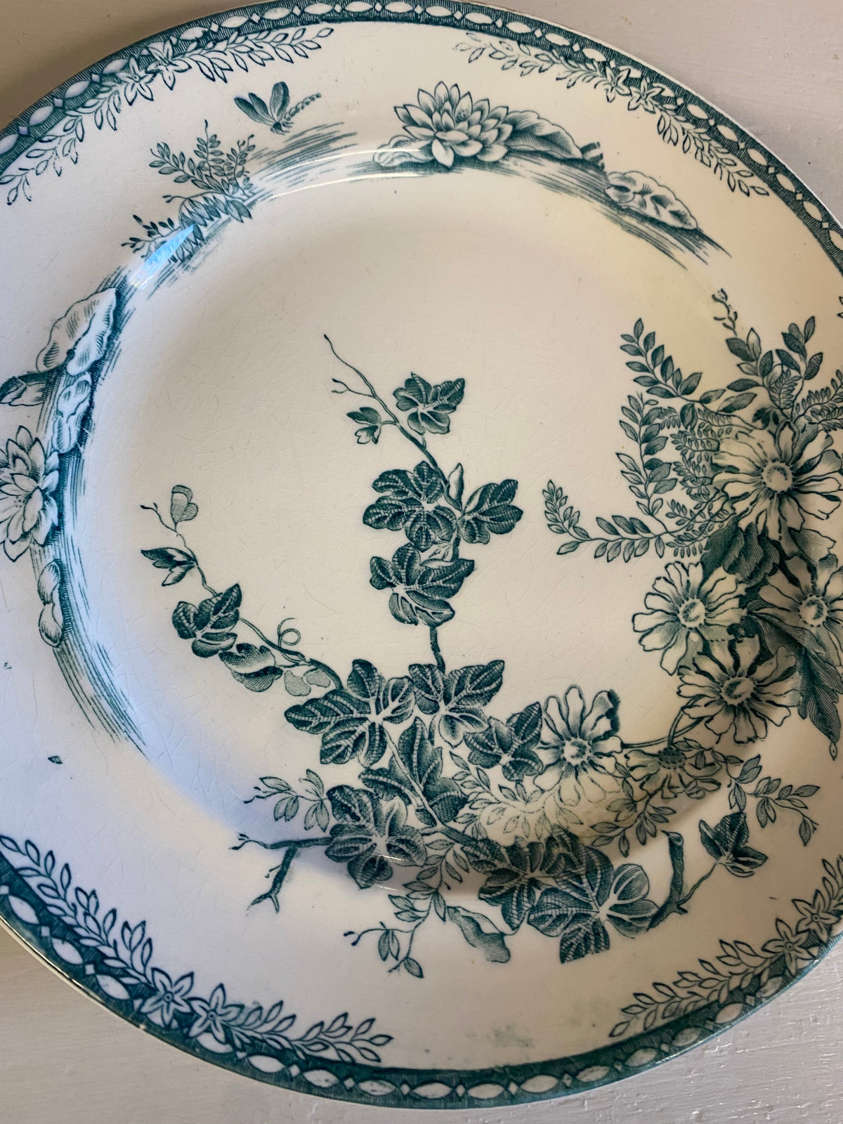 Mattallrik i grönvitt - FLORA