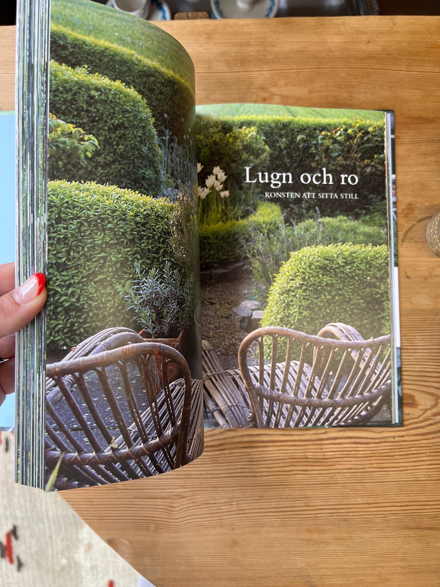 Boken Gabriellas trädgård