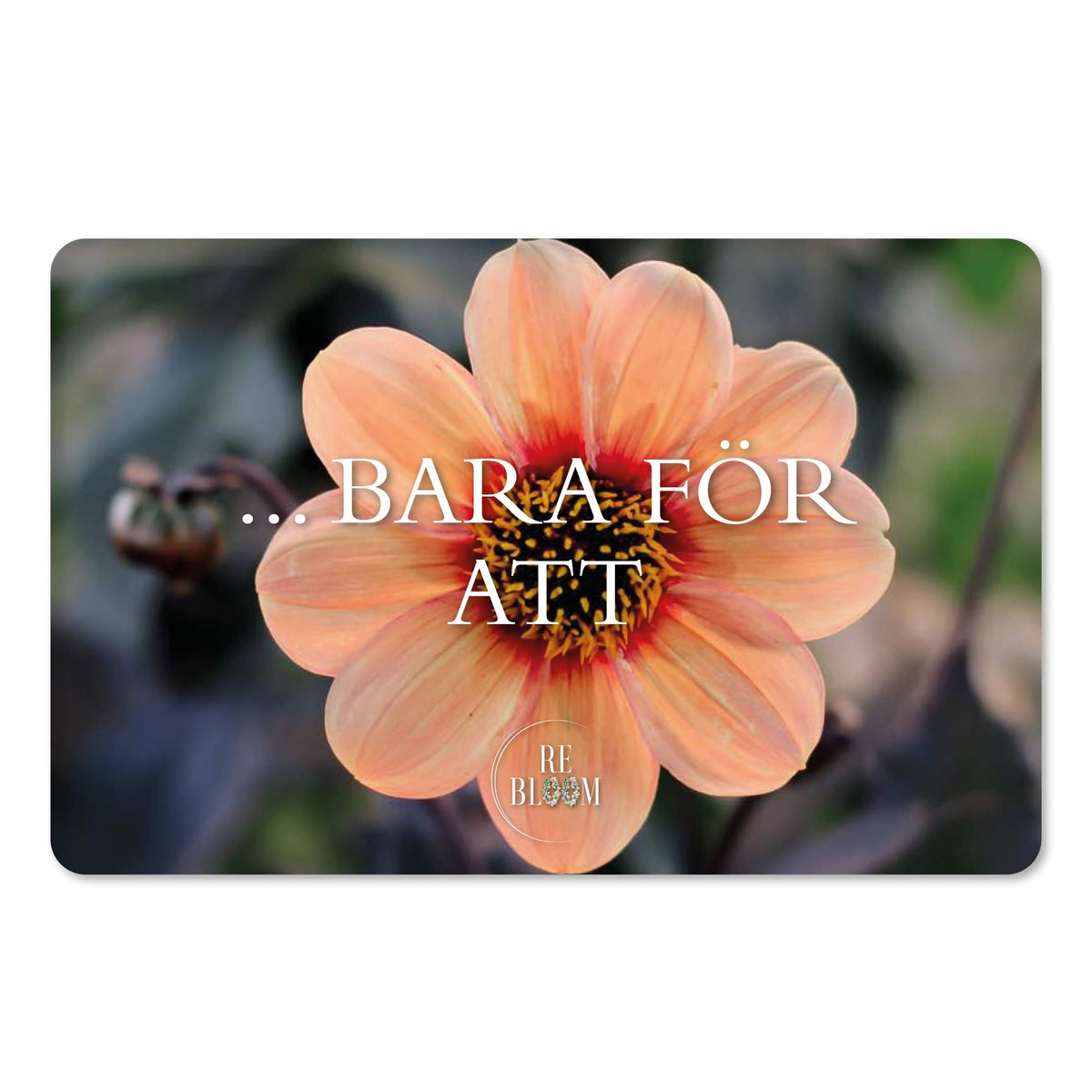 BARA FÖR ATT