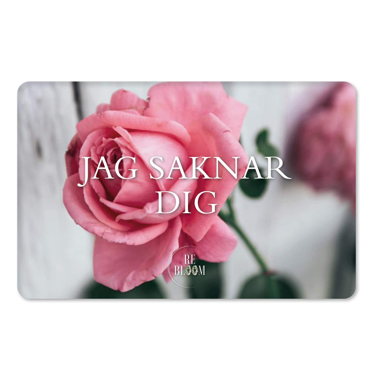 JAG SAKNAR DIG