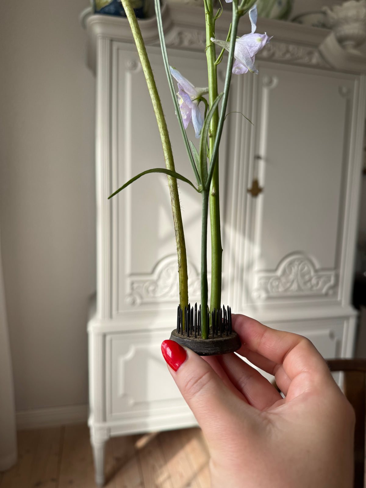 Äldre blomsterfakir piggar