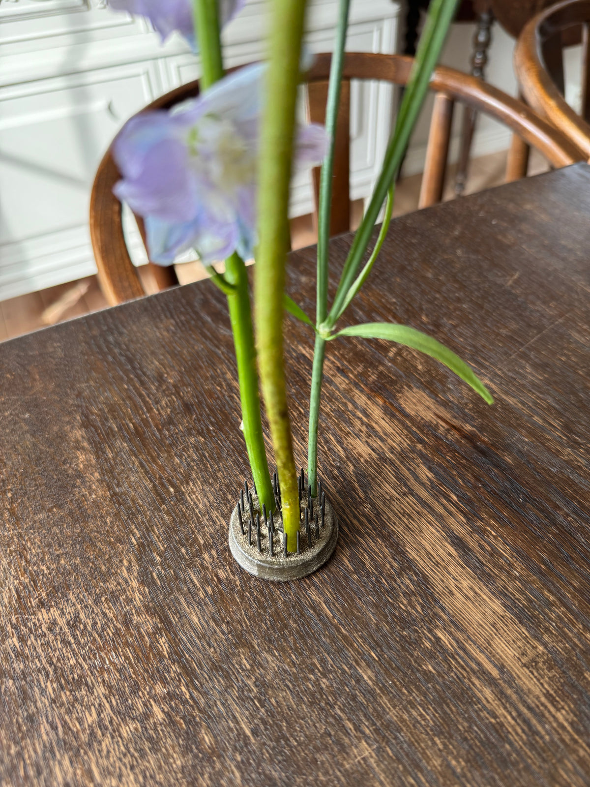 Äldre blomsterfakir piggar