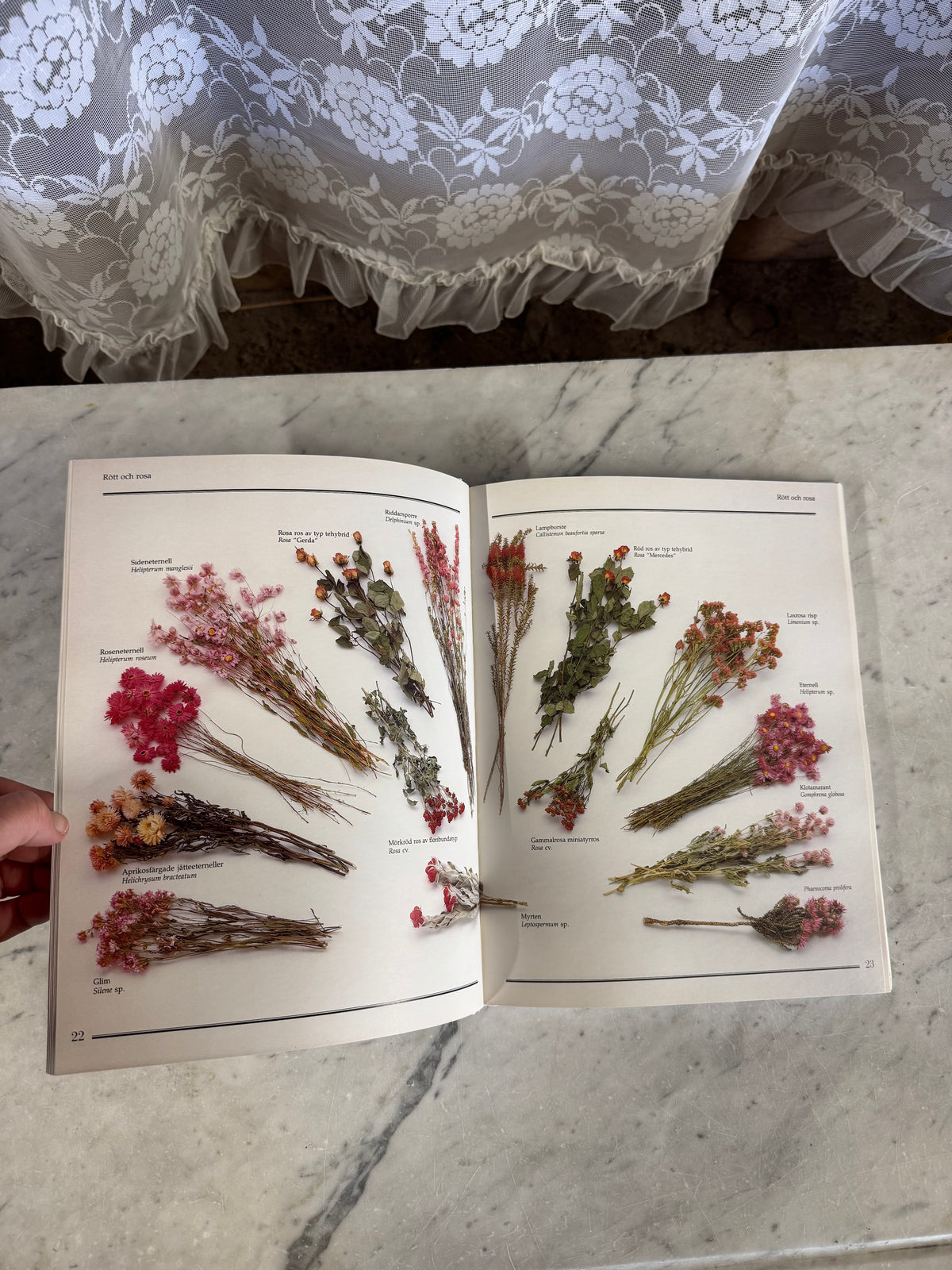 Boken Evighetsblommor