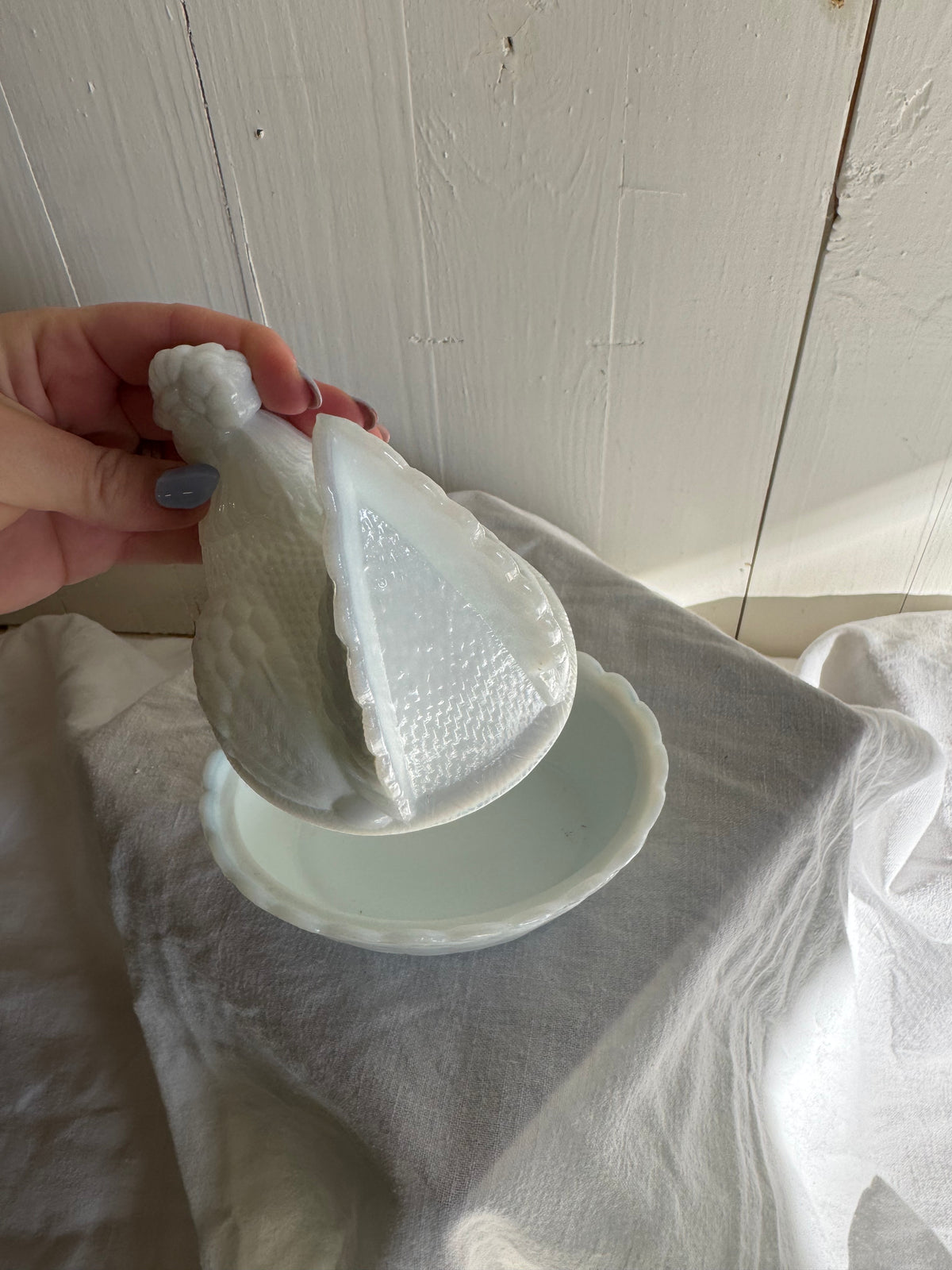 Höna - äggömma i vitt mjölkglas