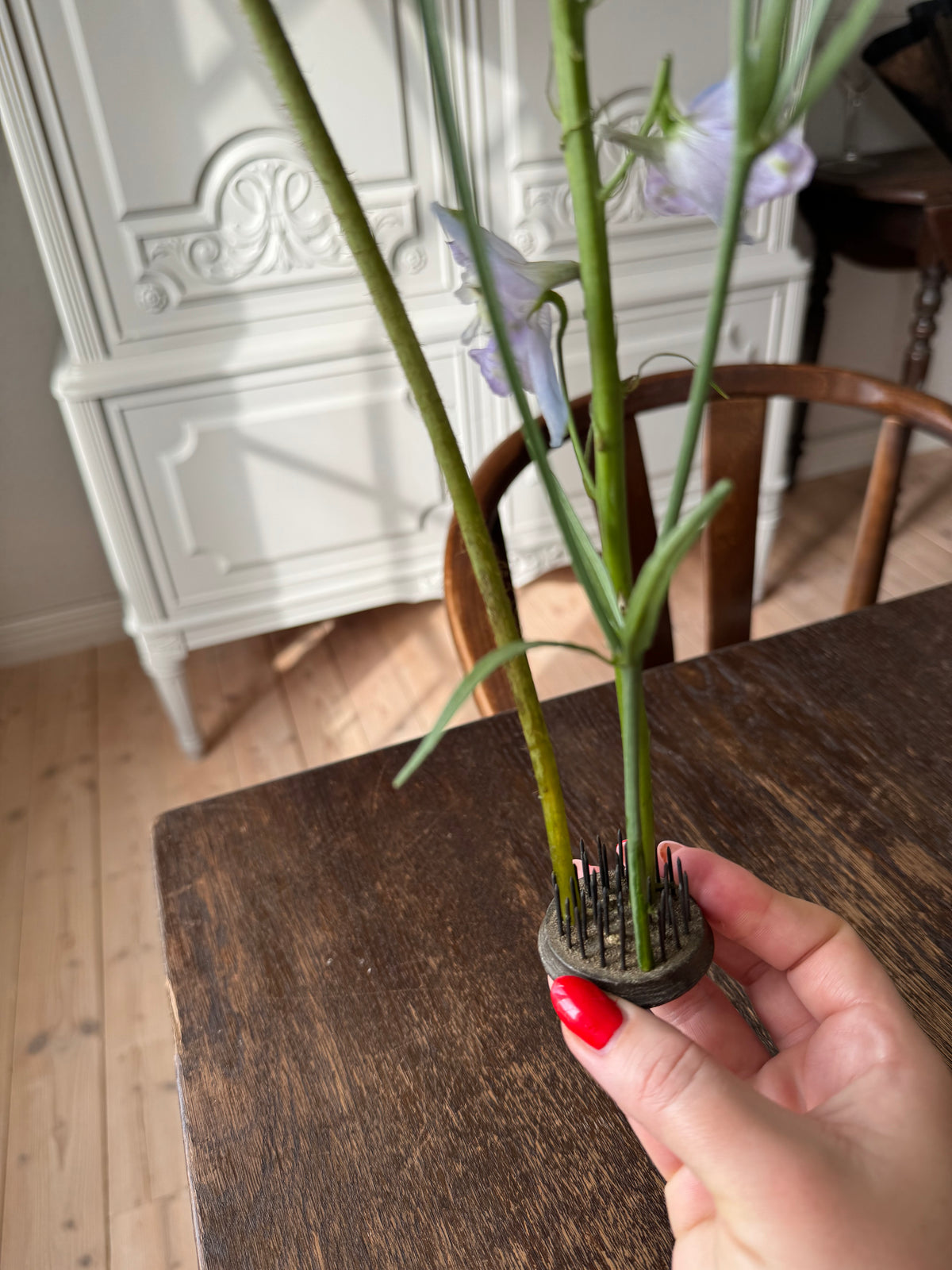 Äldre blomsterfakir piggar