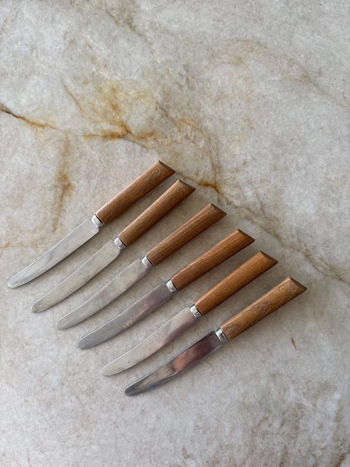 Knivställ med rostfria fruktknivar, 6st