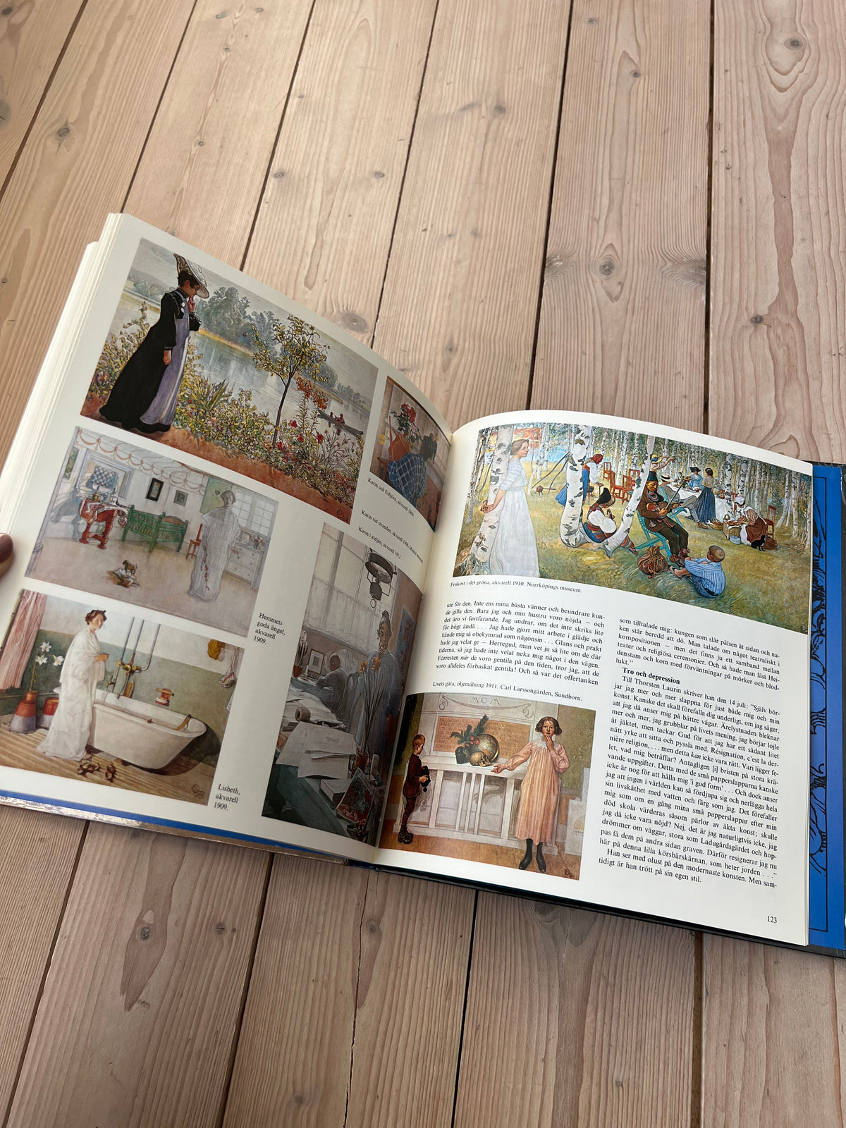 Carl Larsson bok
