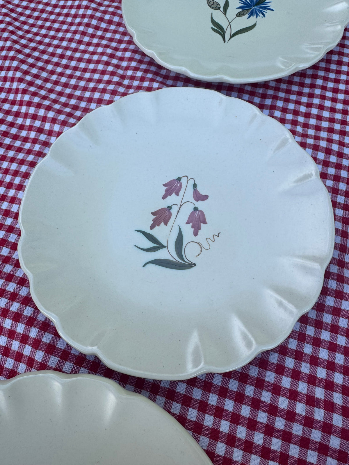6st assietter BoFajans vågad kant med blomstermotiv