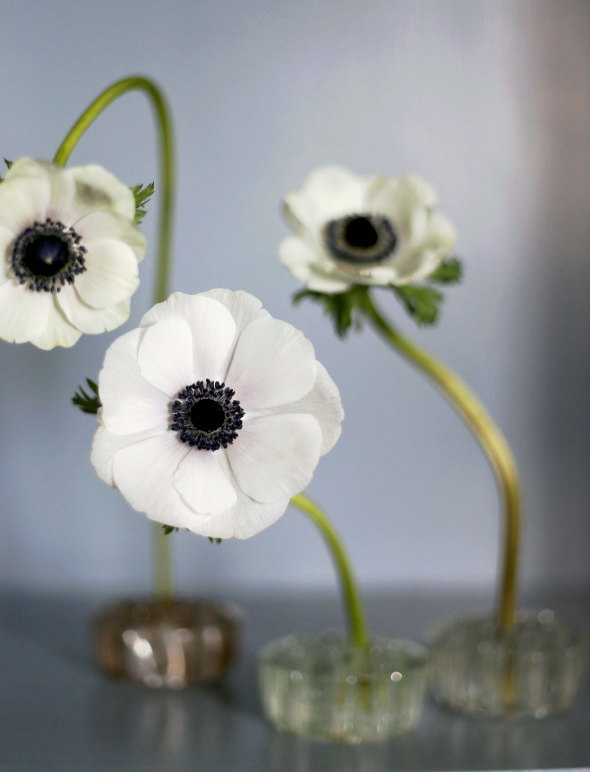 Blomsterfakir i klarglas - Ikebana
