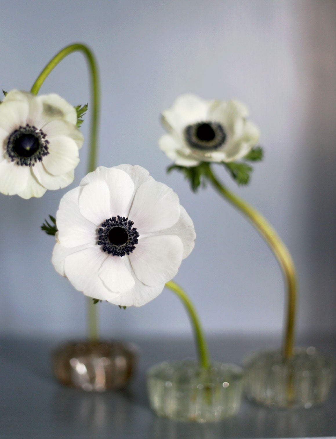 En blomsterfakir i klarglas - Ikebana