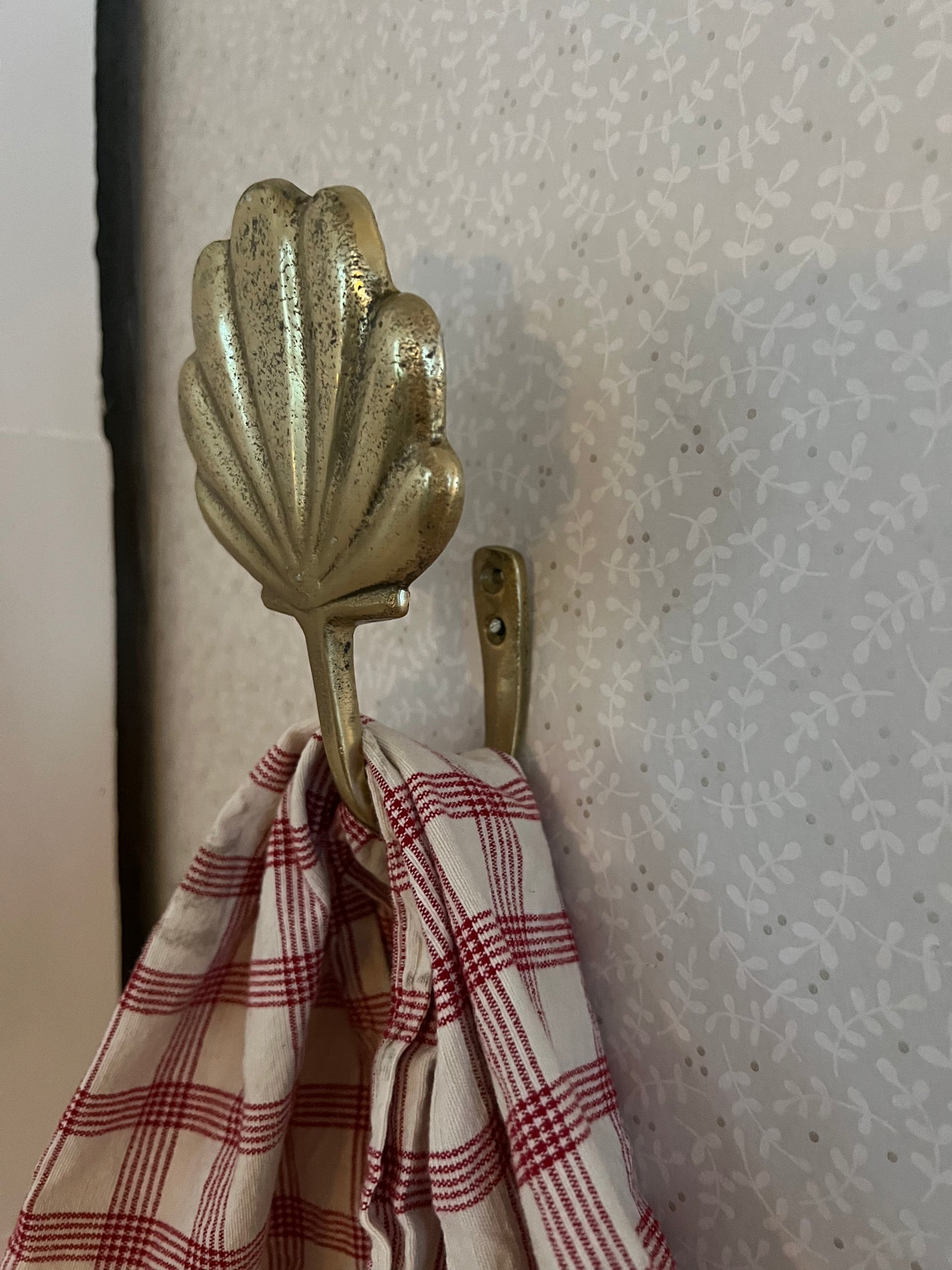 Väggkrok snäcka