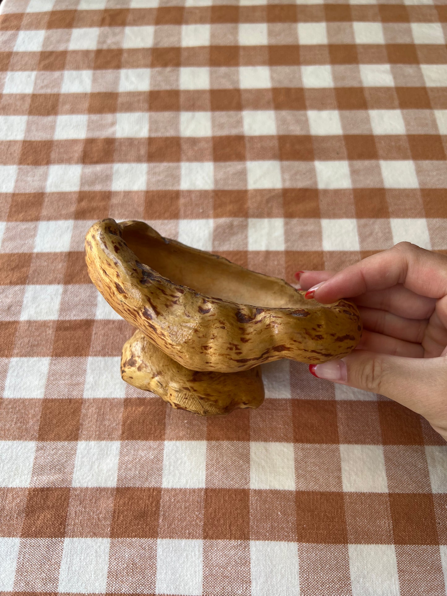 Mindre vrilskål på fot
