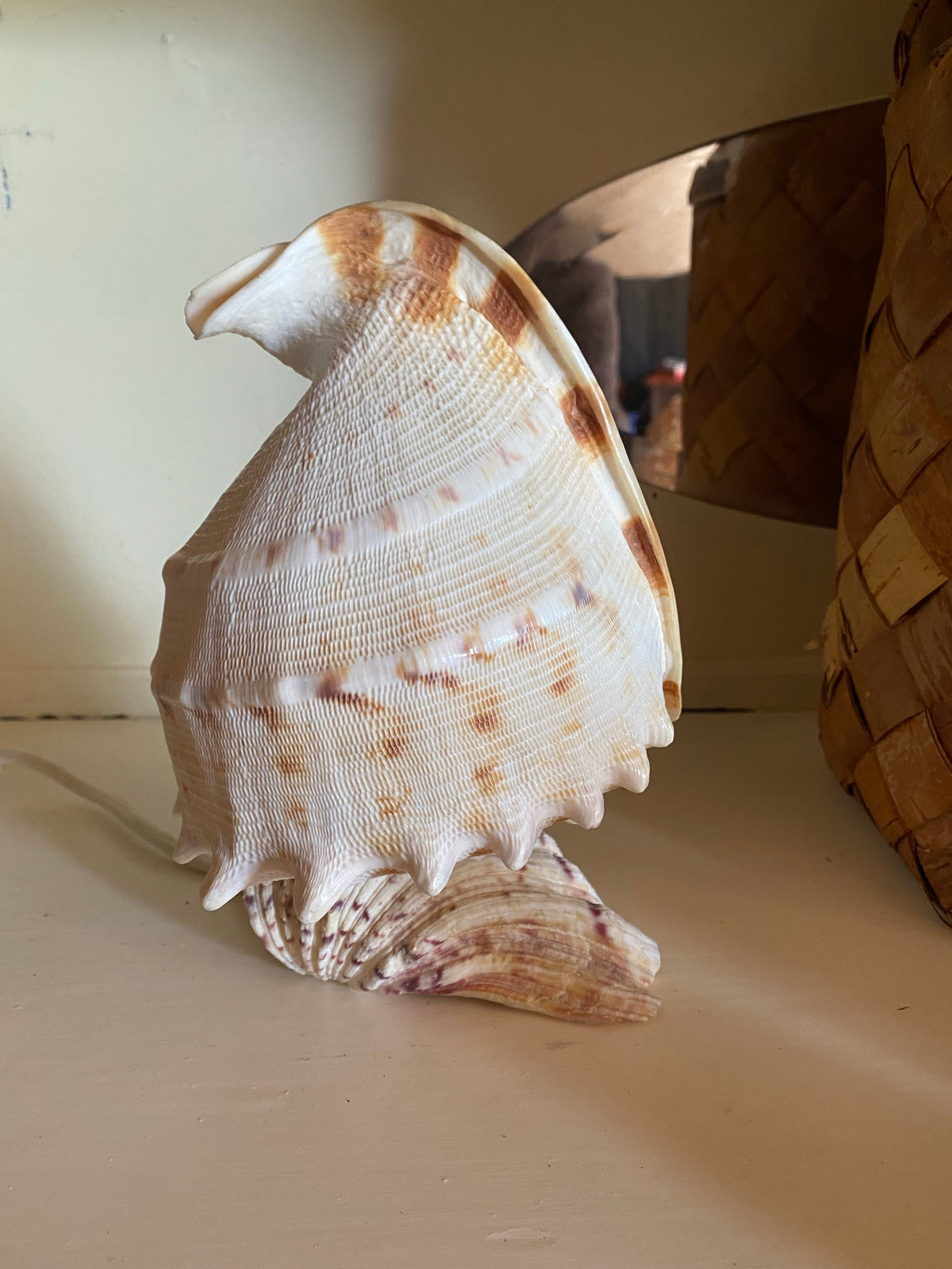 Snäcklampa