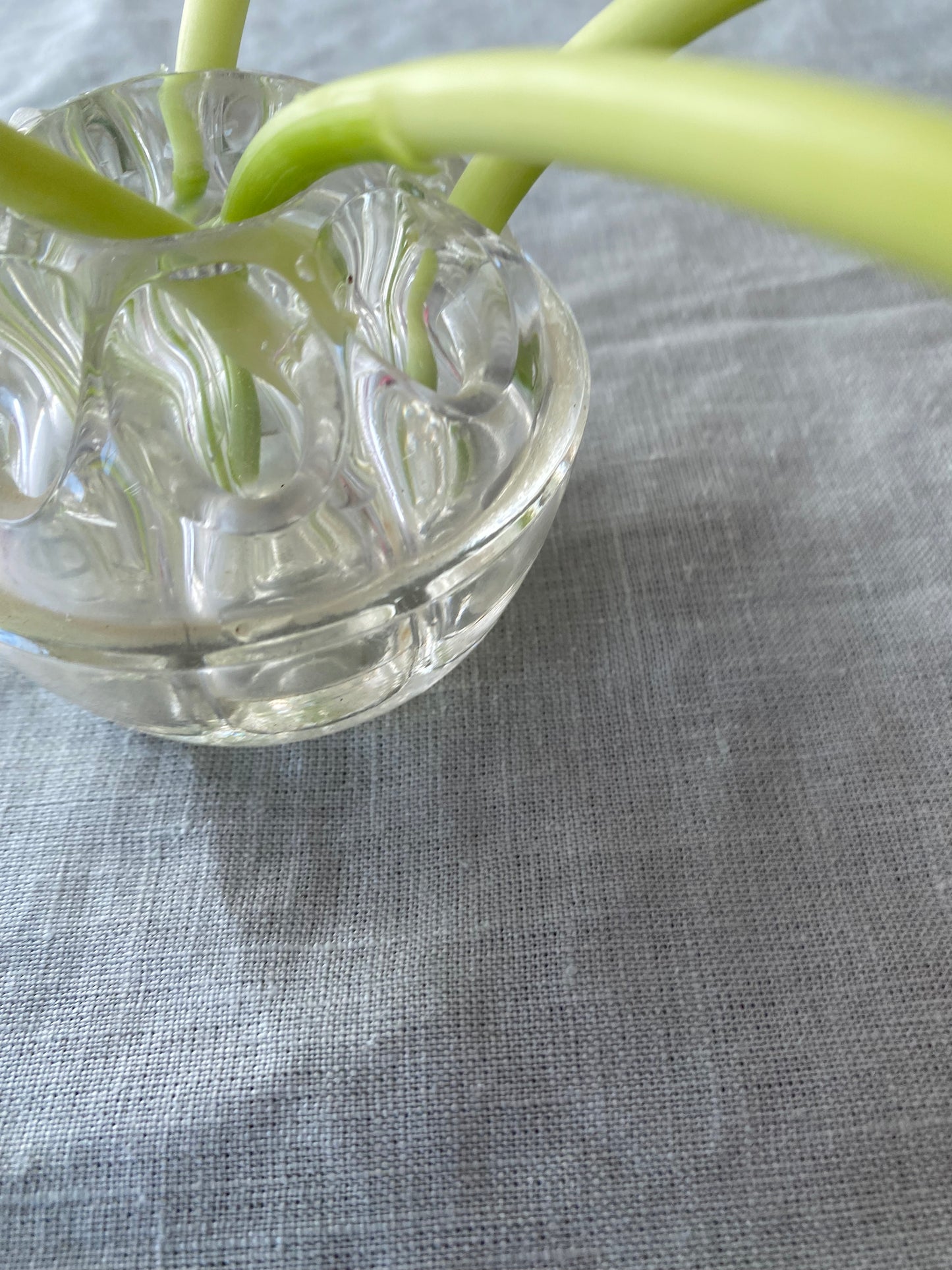 Blomsterfakir i glas - Ikebana