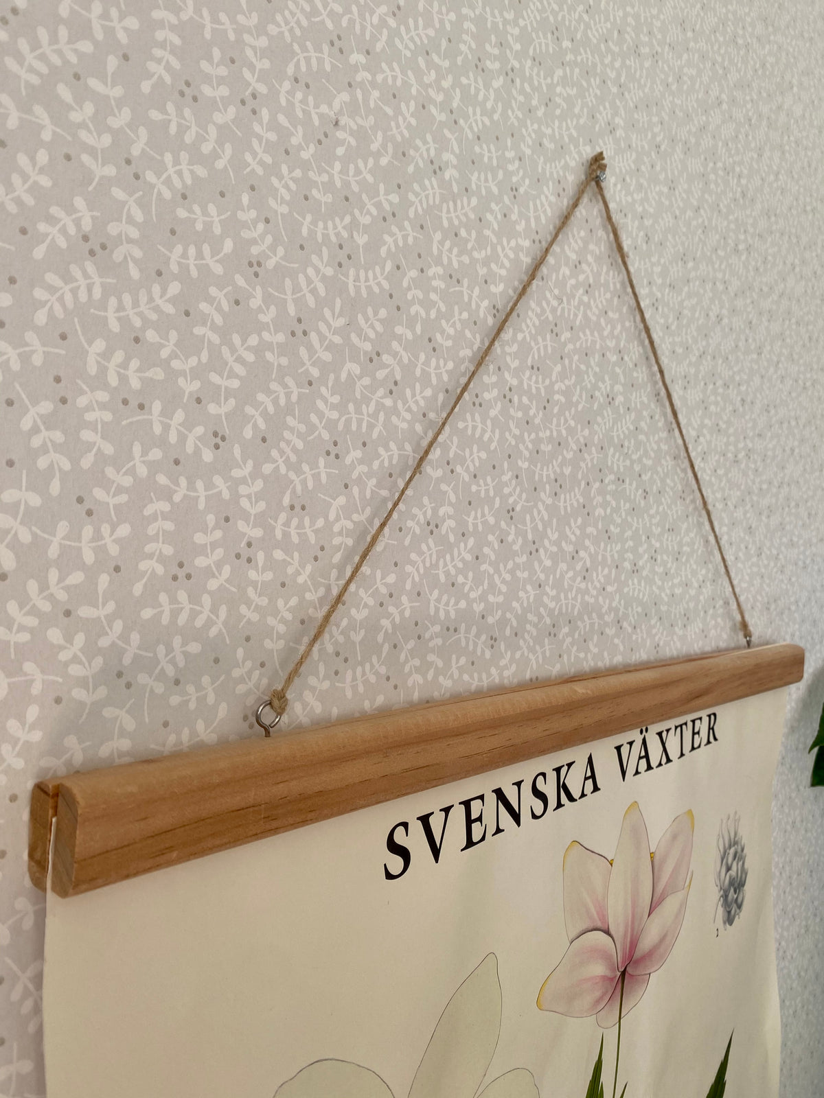 Svenska växter - vitsippa med träram