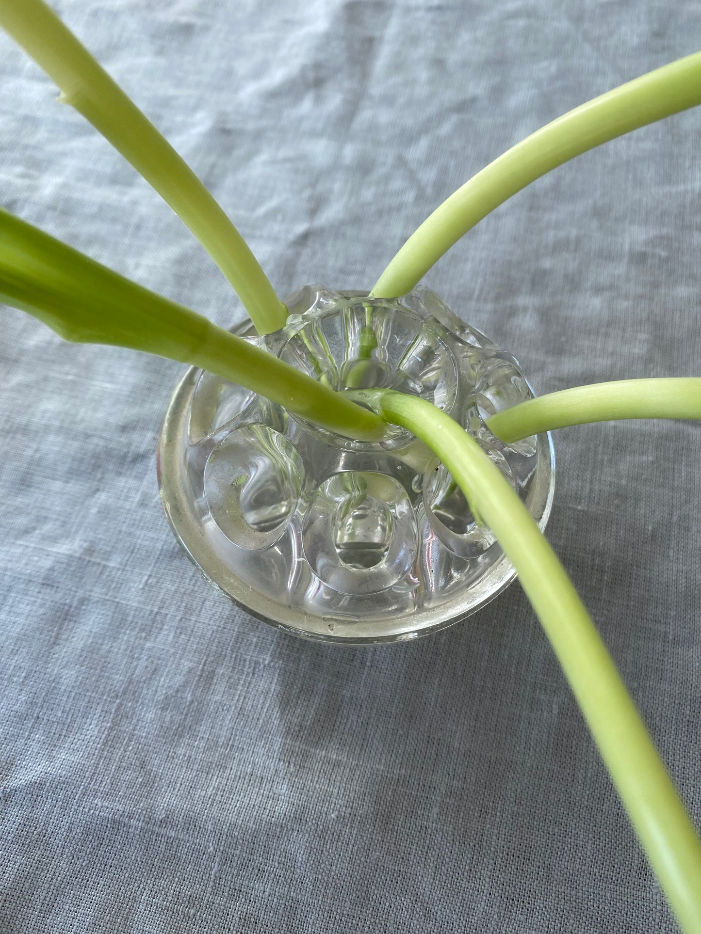 Blomsterfakir i glas - Ikebana