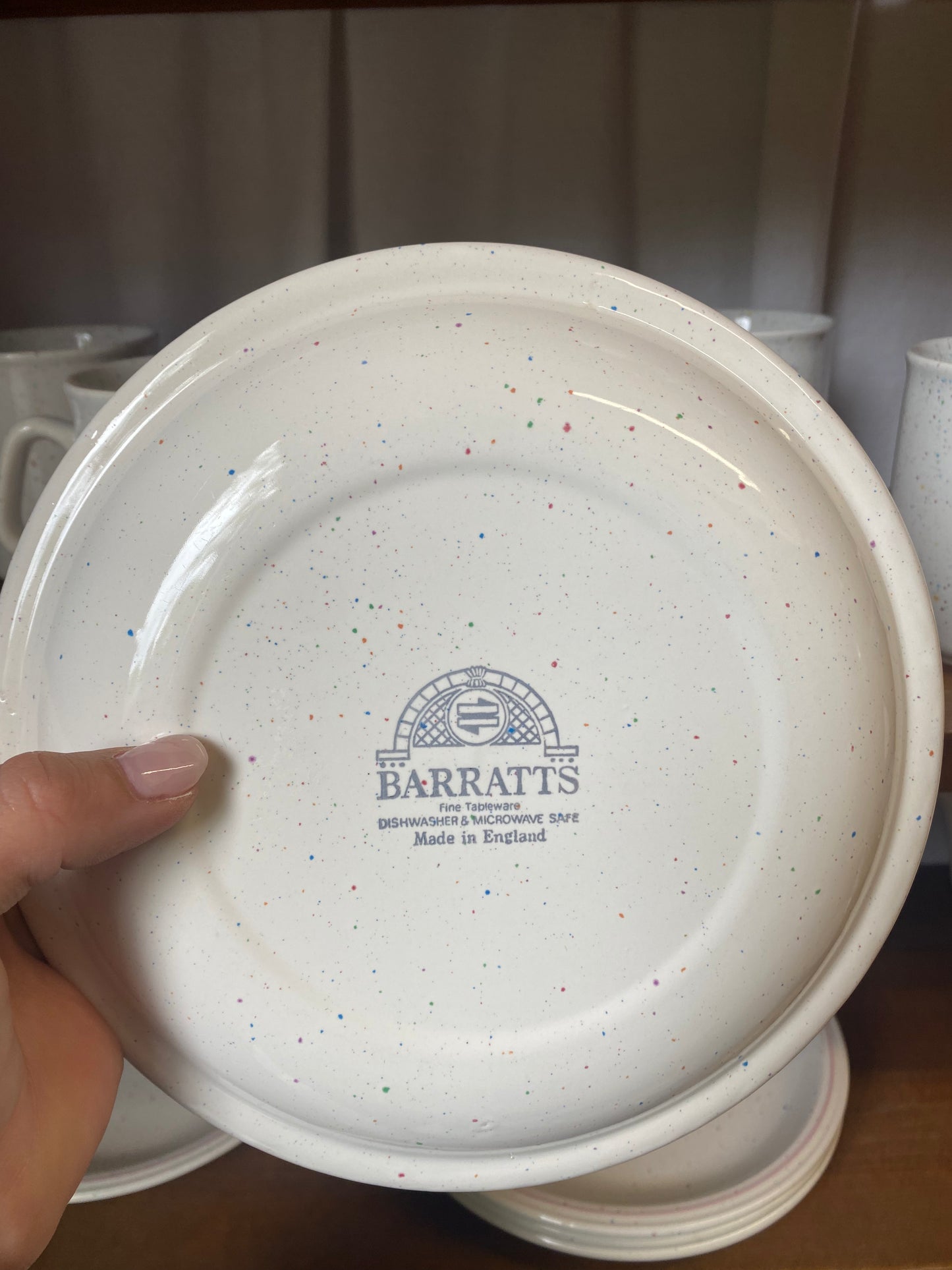 6st assietter med stänk i pastell - BARRATTS