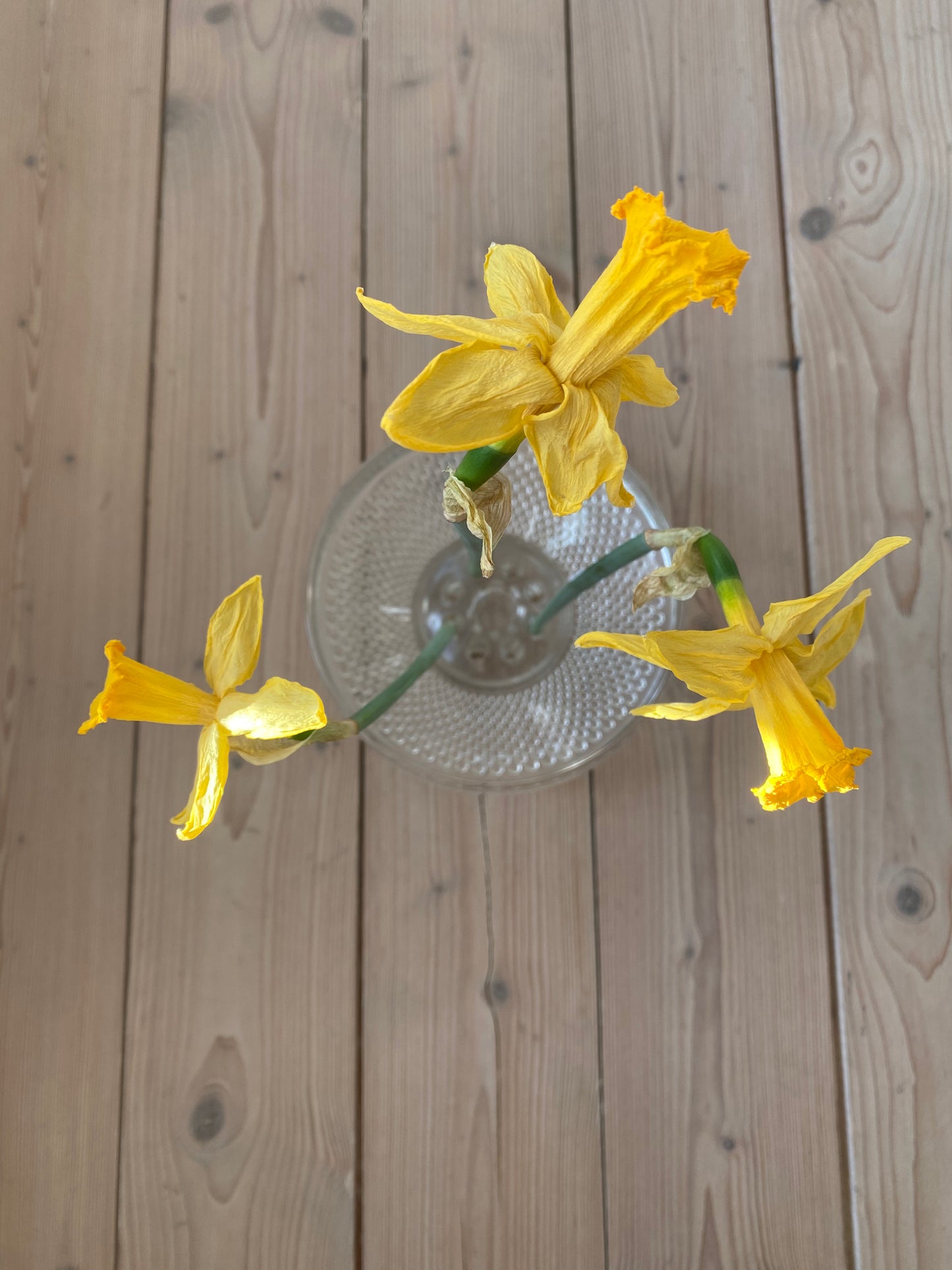 Blomsterfakir i glas med tillhörande skål