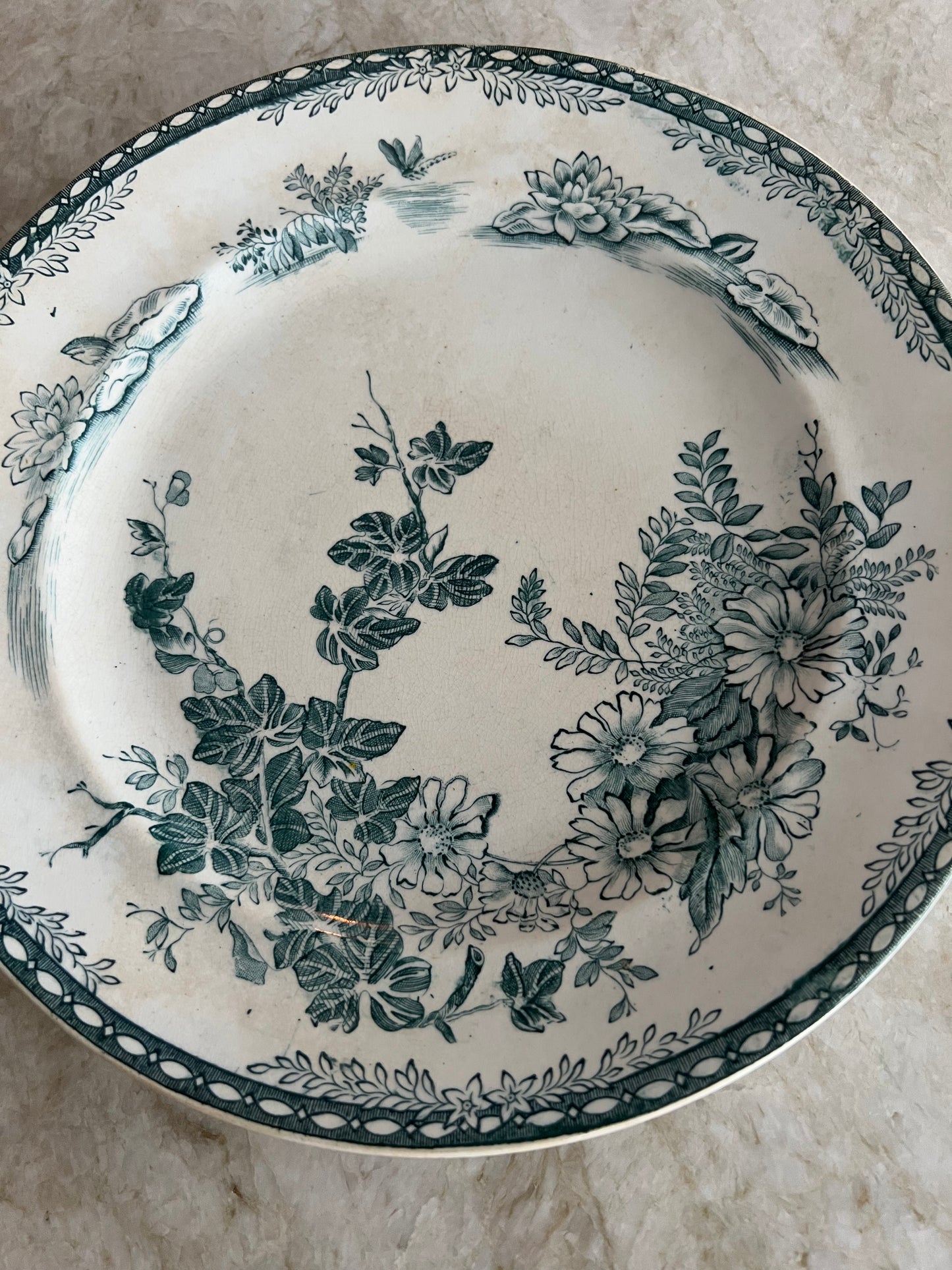 Grönvit tallrik - FLORA Gustafsberg