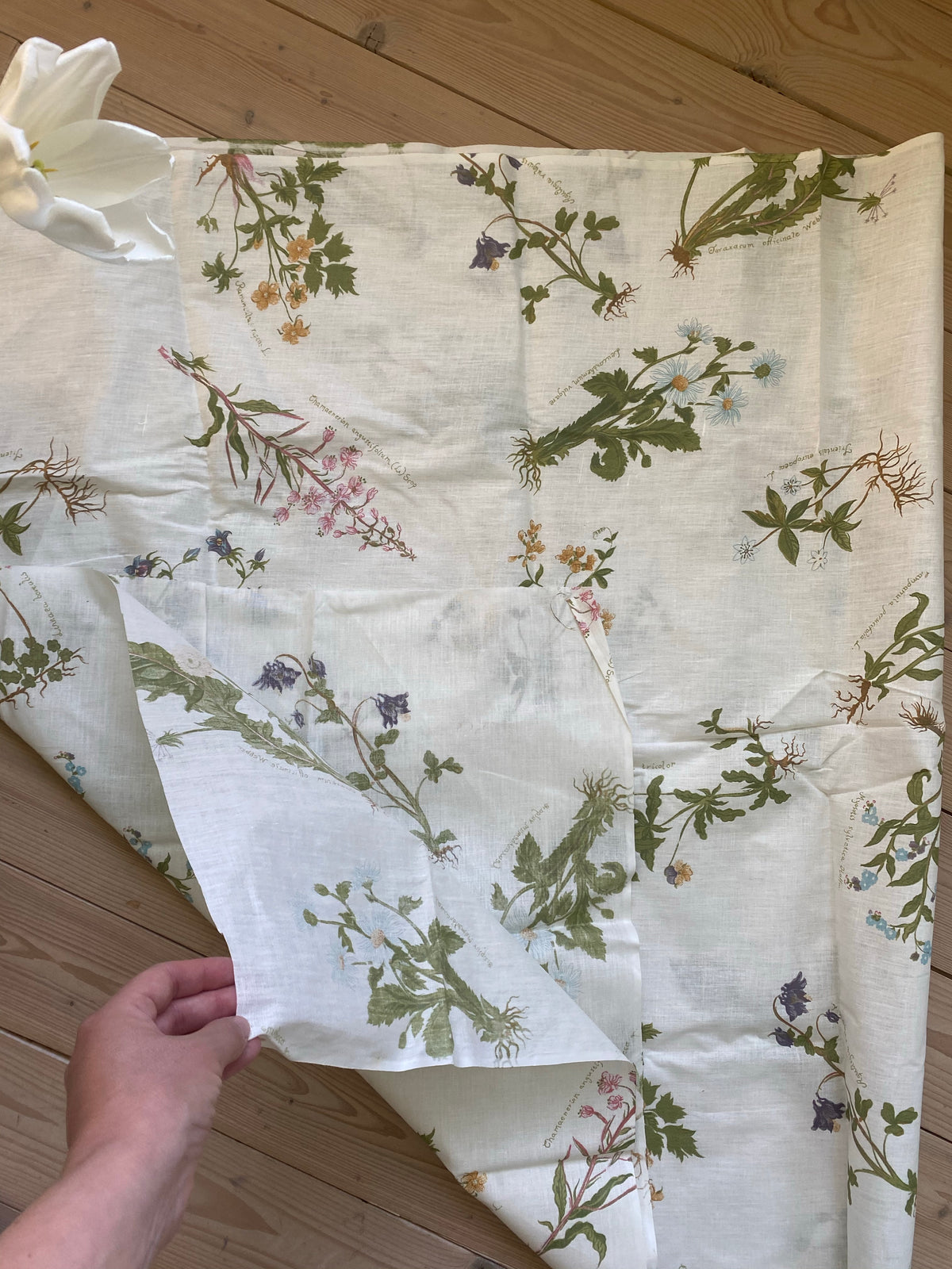 Blommigt tyg - växter