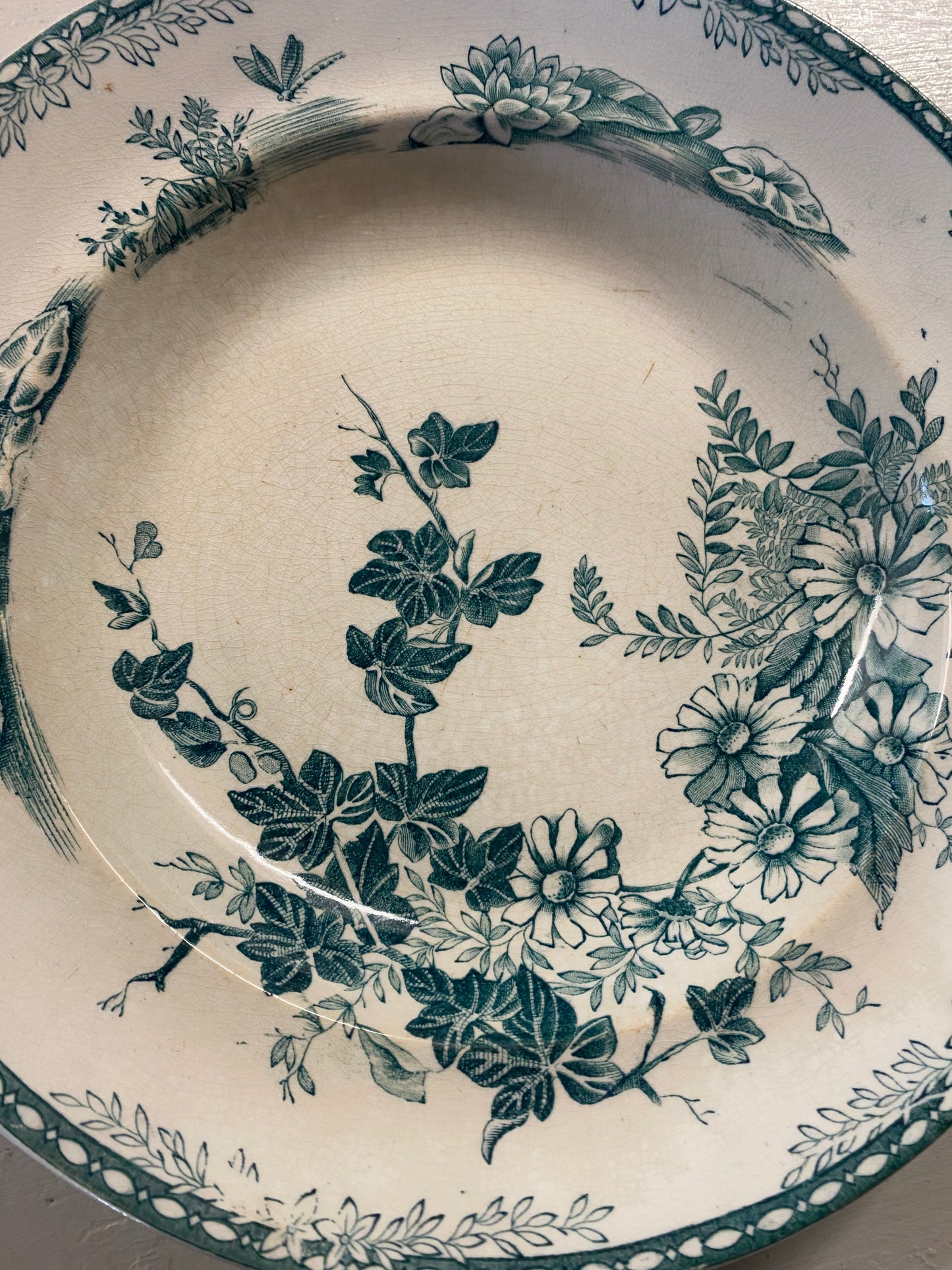 Djup tallrik i grönvitt - FLORA