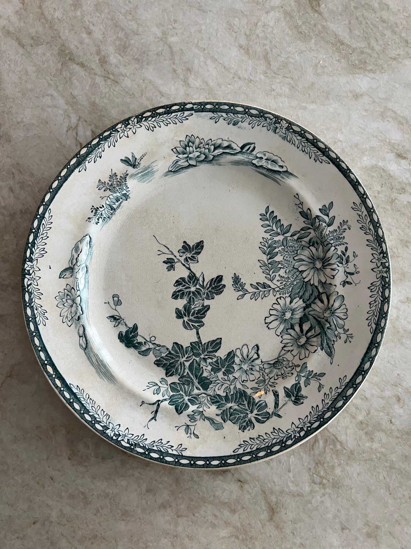Grönvit tallrik - FLORA Gustafsberg