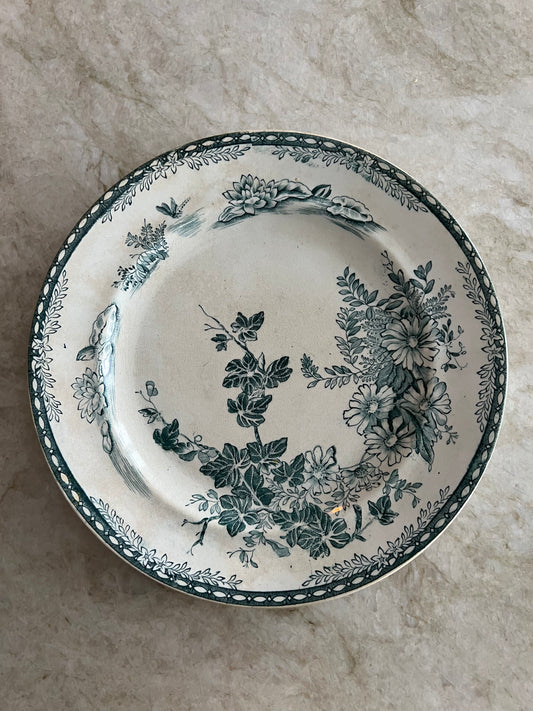 Grönvit tallrik - FLORA Gustafsberg