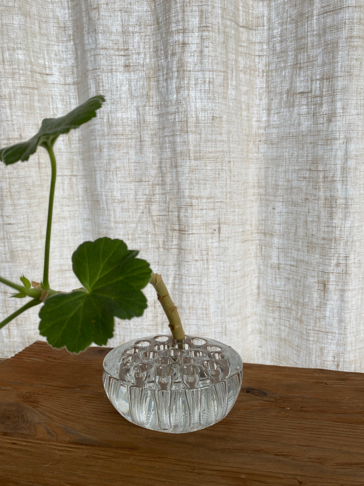 Stor blomsterfakir i klarglas - Ikebana