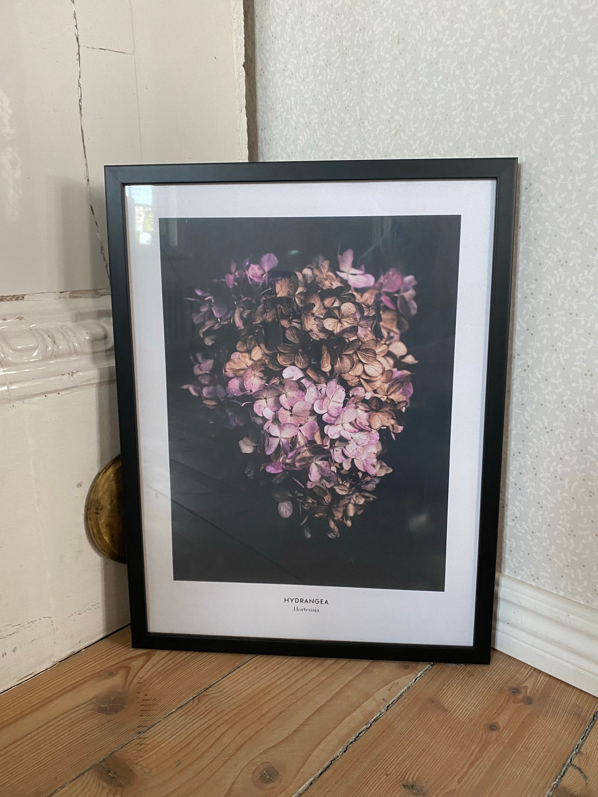 Tavla med ram ~ Hortensia