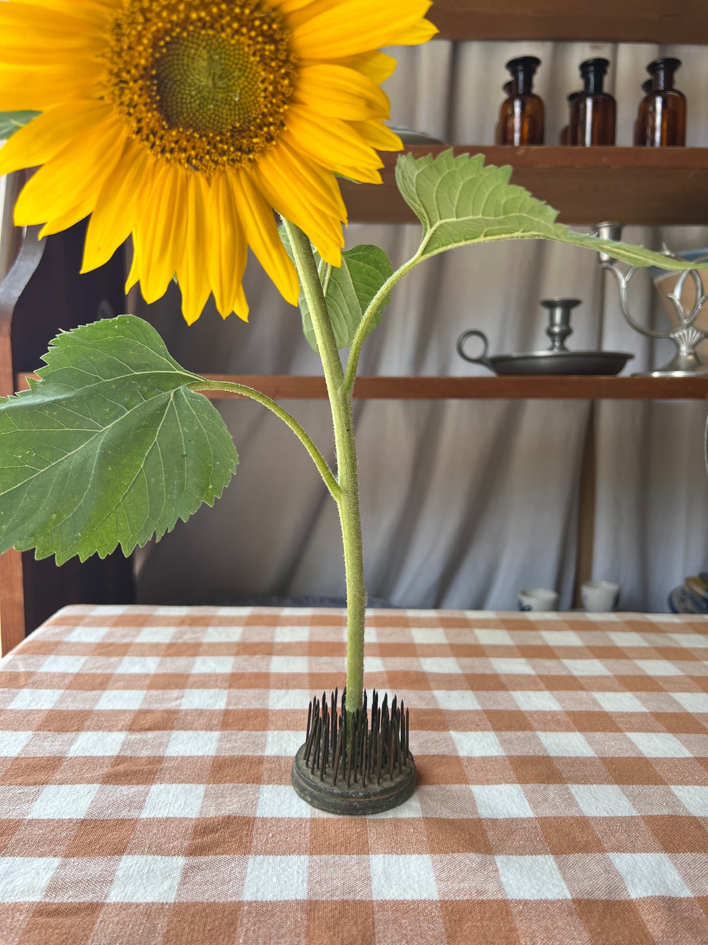 Blomsterfakir
