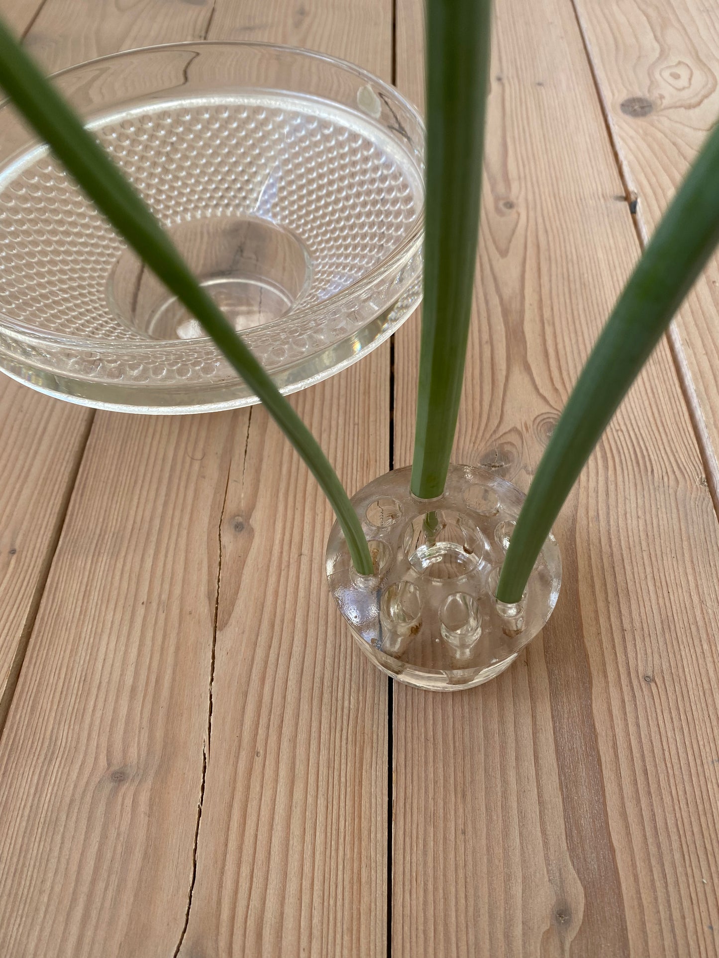 Blomsterfakir i glas med tillhörande skål
