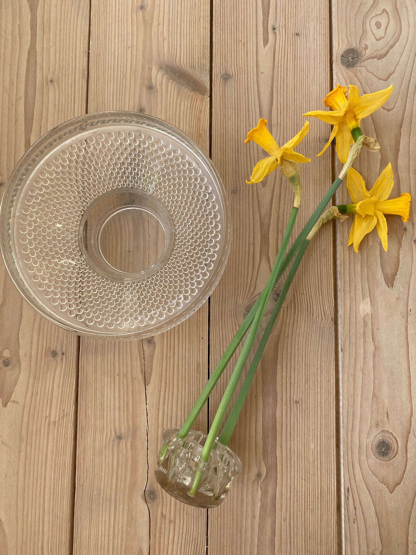 Blomsterfakir i glas med tillhörande skål