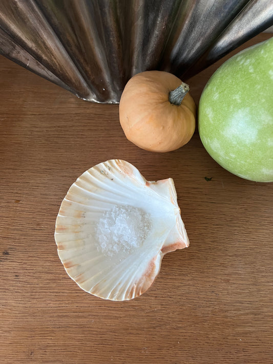 Snäckskal till flingsaltet