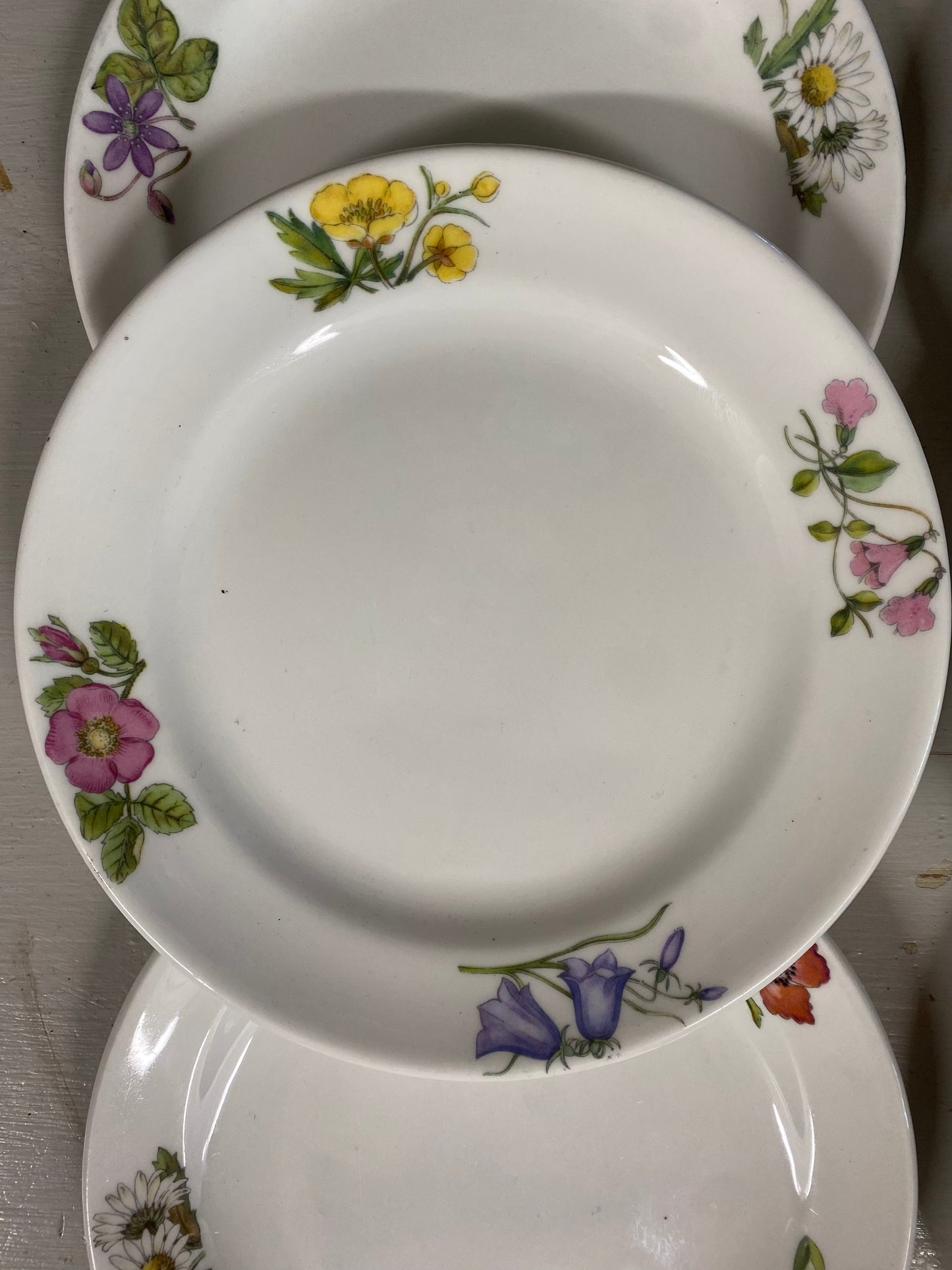6st assietter sommarblommor - benporslin Gustavsberg