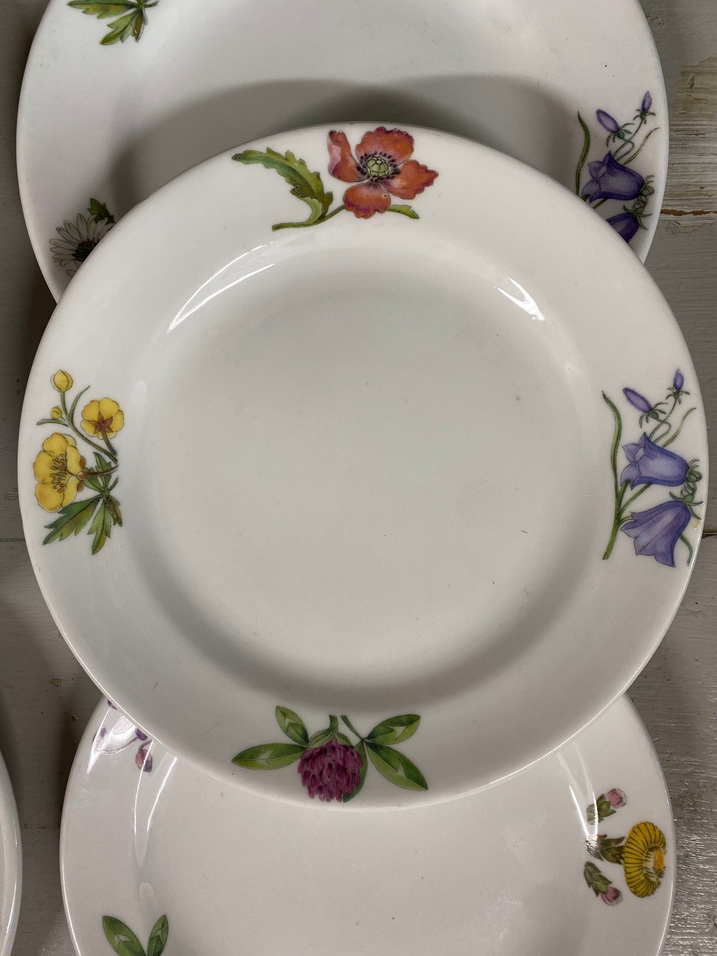 6st assietter sommarblommor - benporslin Gustavsberg