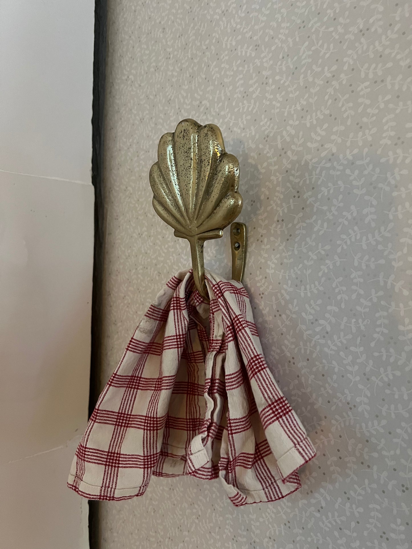 Väggkrok snäcka