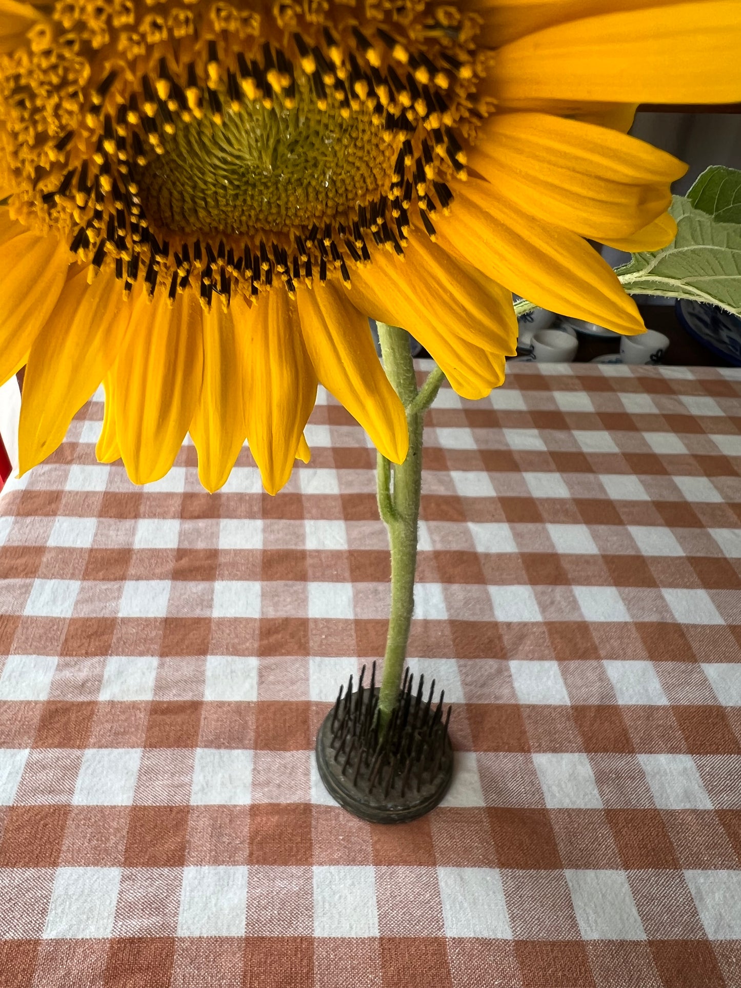 Blomsterfakir