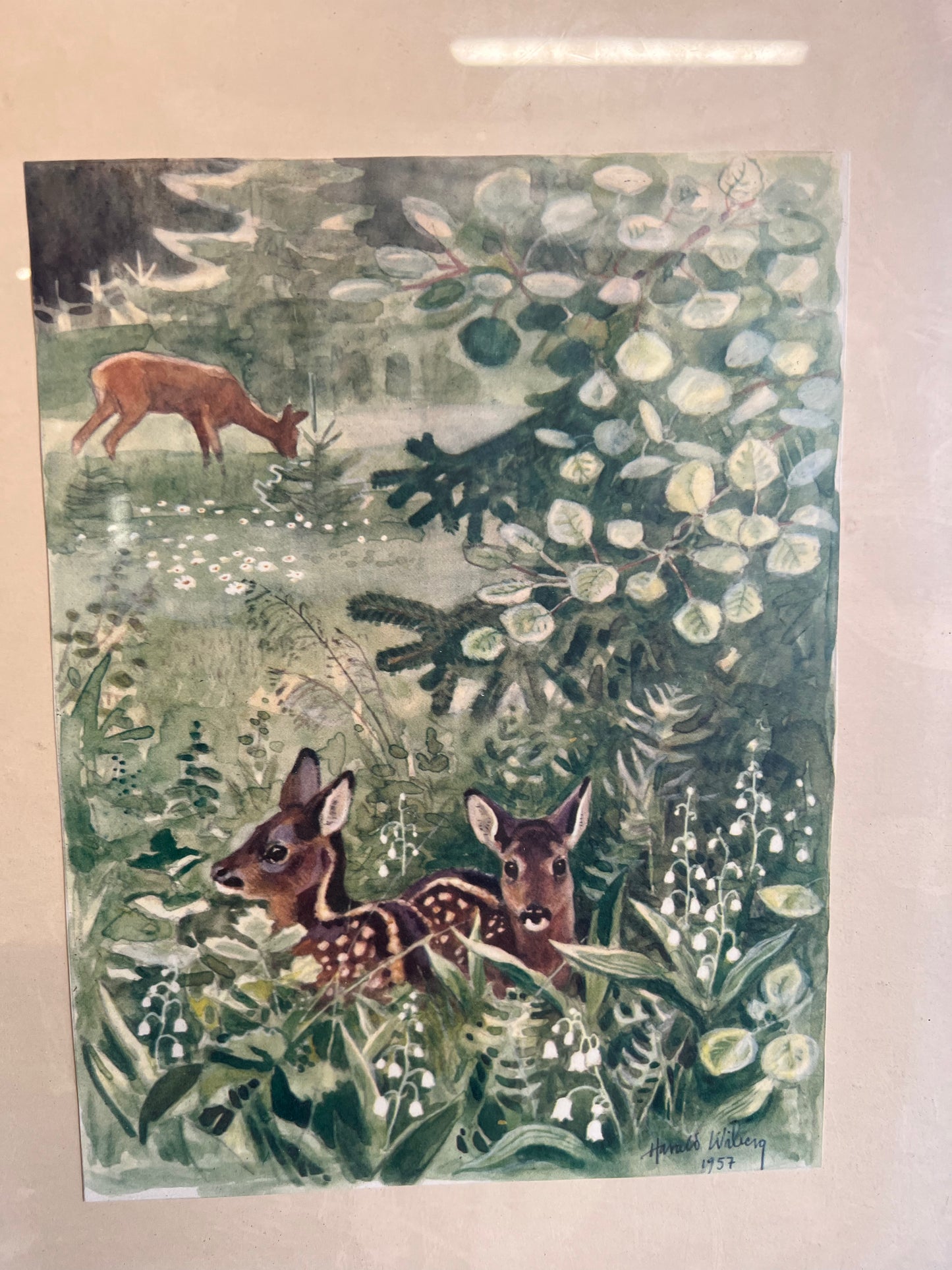 Finaste tavlan - bambi