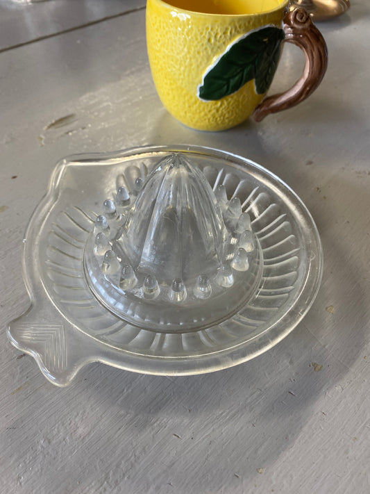 Citruspress i glas