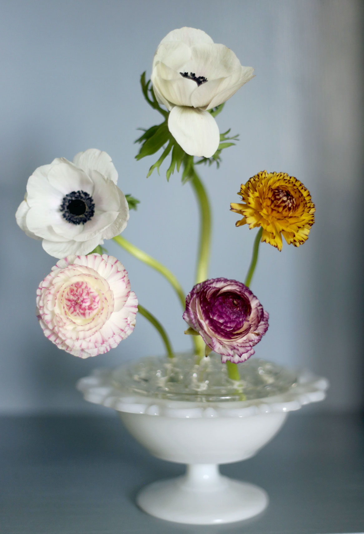 Stor blomsterfakir i glas med skål